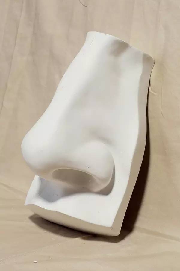 素描入门石膏五官眼睛鼻子