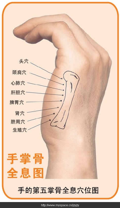 手掌穴位按摩方法