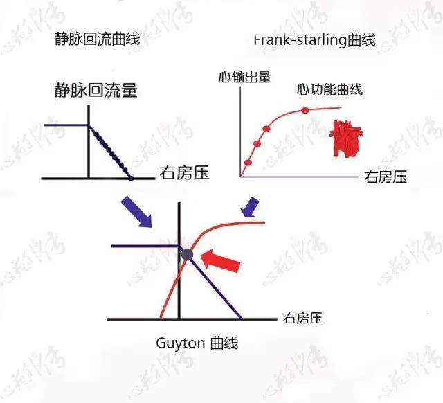 血流动力学上guyton静脉回流理论