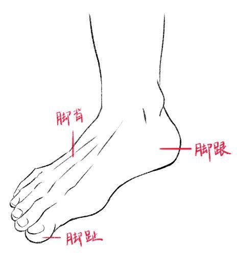 腳部繪畫的教程技巧