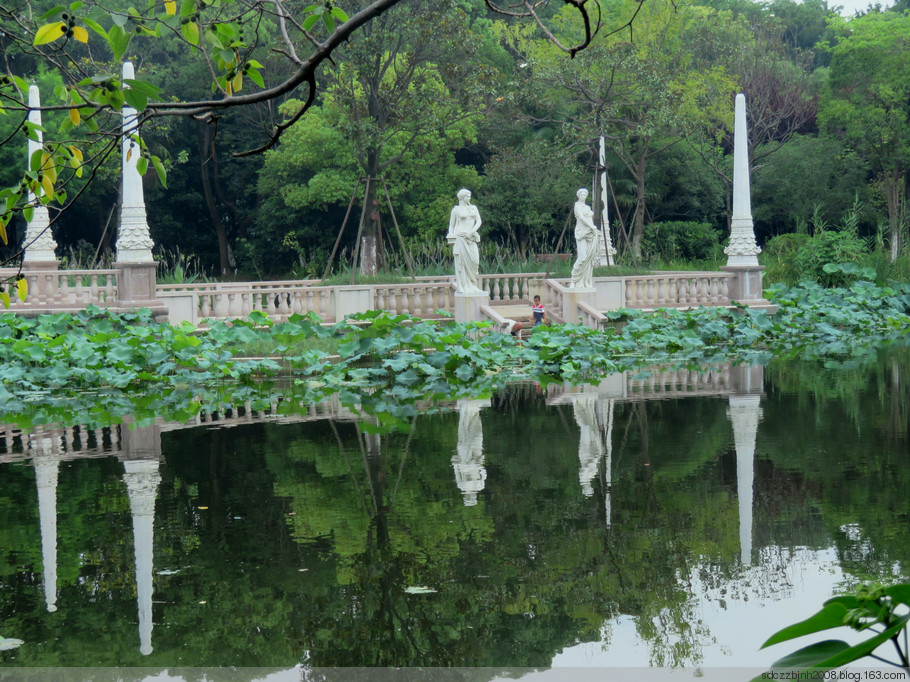 原原創美麗的南通市唐閘公園夏日風光一風光篇