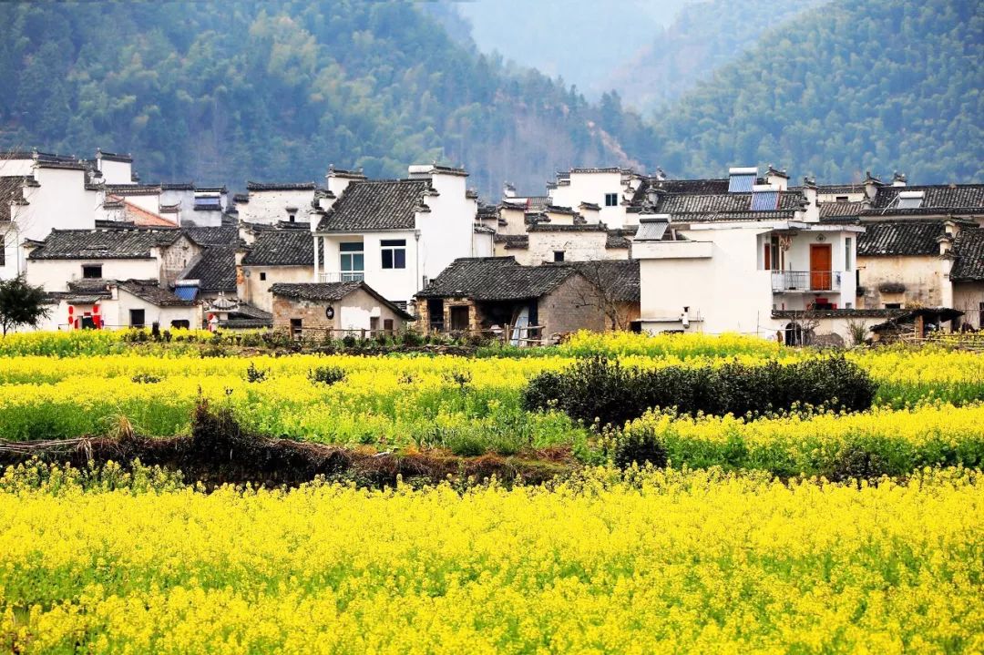 等一个人,陪我去徽州