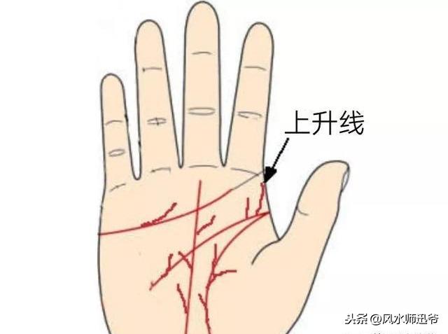 五,大拇指纹路多在大拇指的第二关节处生有很多纹路的人(横纹,竖纹均