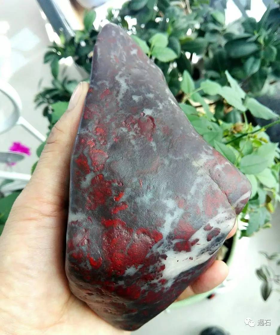 天赐遗珍戈壁彩陨美丽神奇的新疆伊丁石