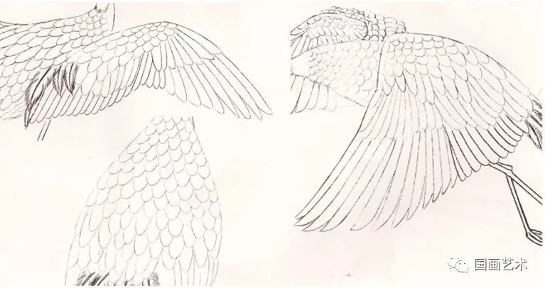 图文教程:工笔仙鹤画法解析