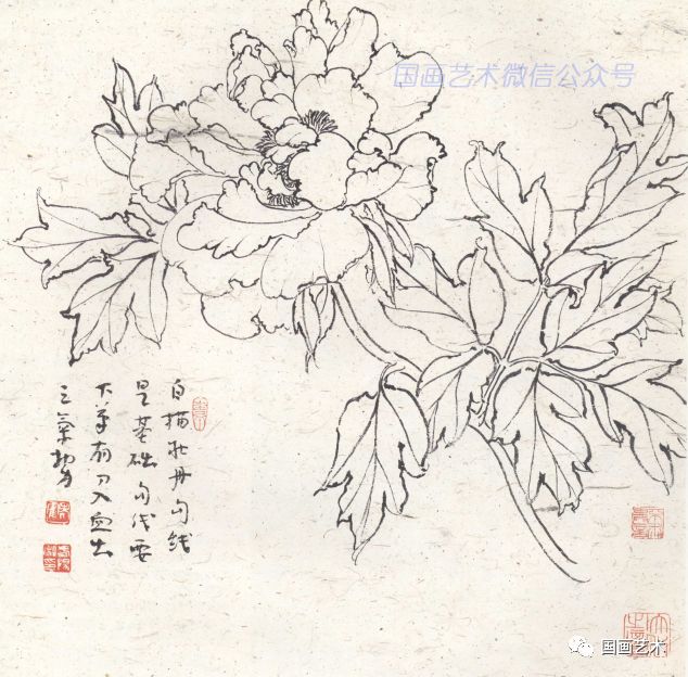 图文教程霍春阳老师教你画牡丹