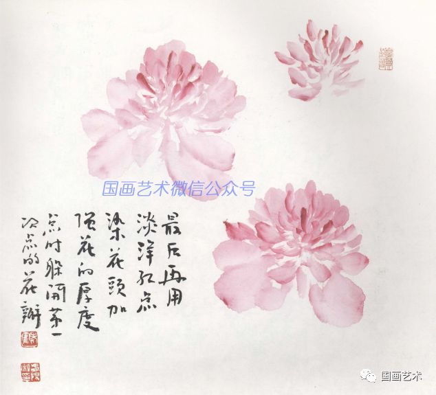 图文教程霍春阳老师教你画牡丹