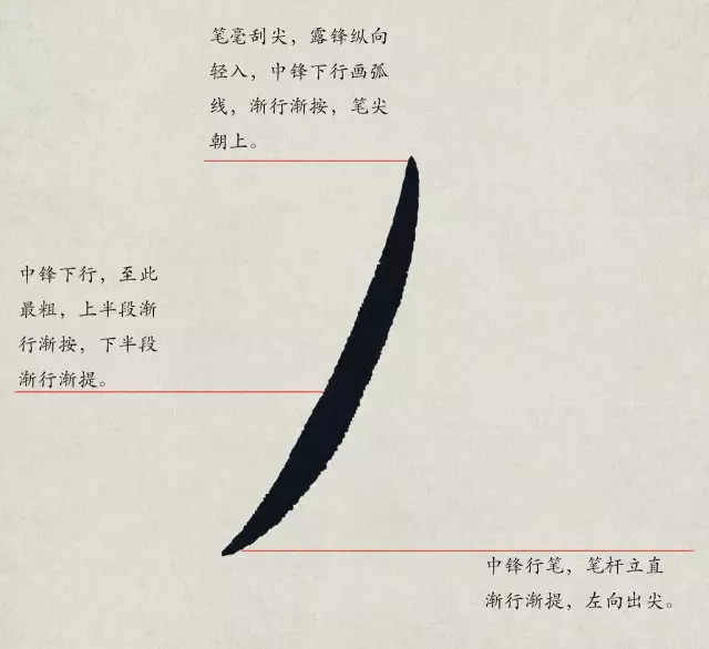 书写示范:笔画应用:(四)欧楷基本笔画——回锋撇收笔处回锋的撇画