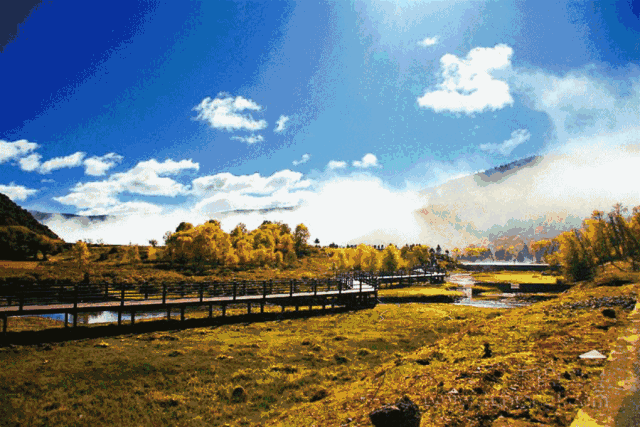 640_427gif 动态图 动图