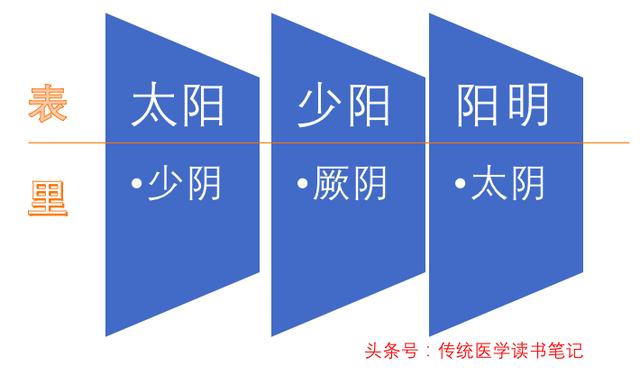 太阳少阳阳明都是什么意思张仲景在这受到了启发