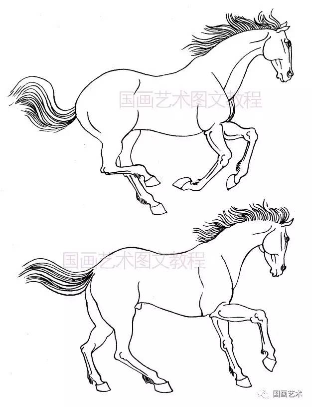 画马基础:马的运动规律