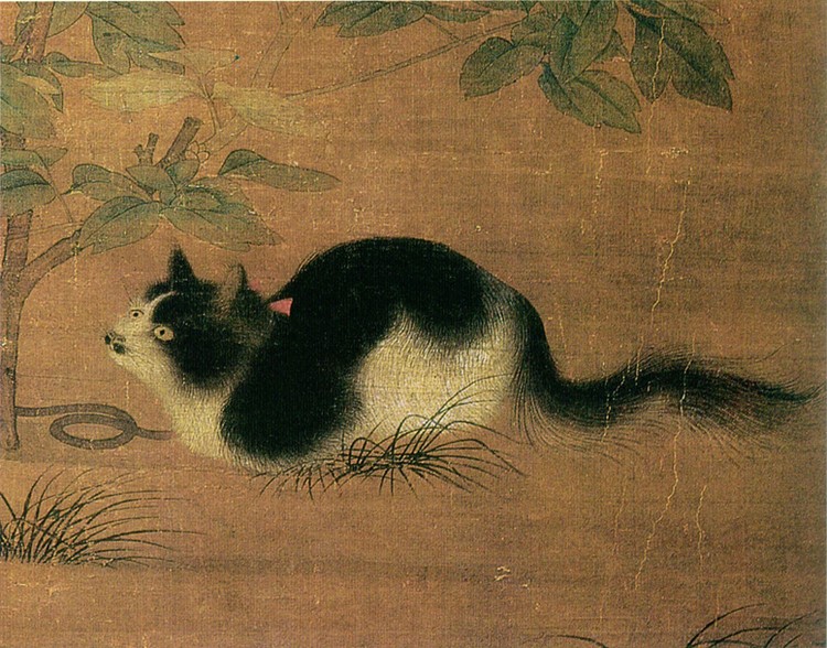 【原】爱猫的陆游与他的十二首《咏猫诗》