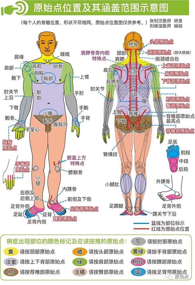 原始点讲座全集动画版(2006年-2020年)