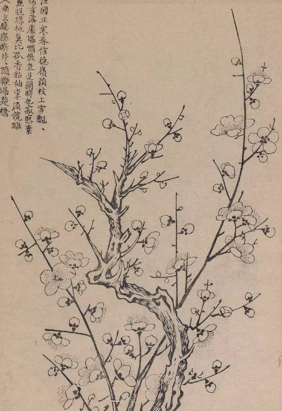 画谱精选集雅斋梅竹兰菊四谱1