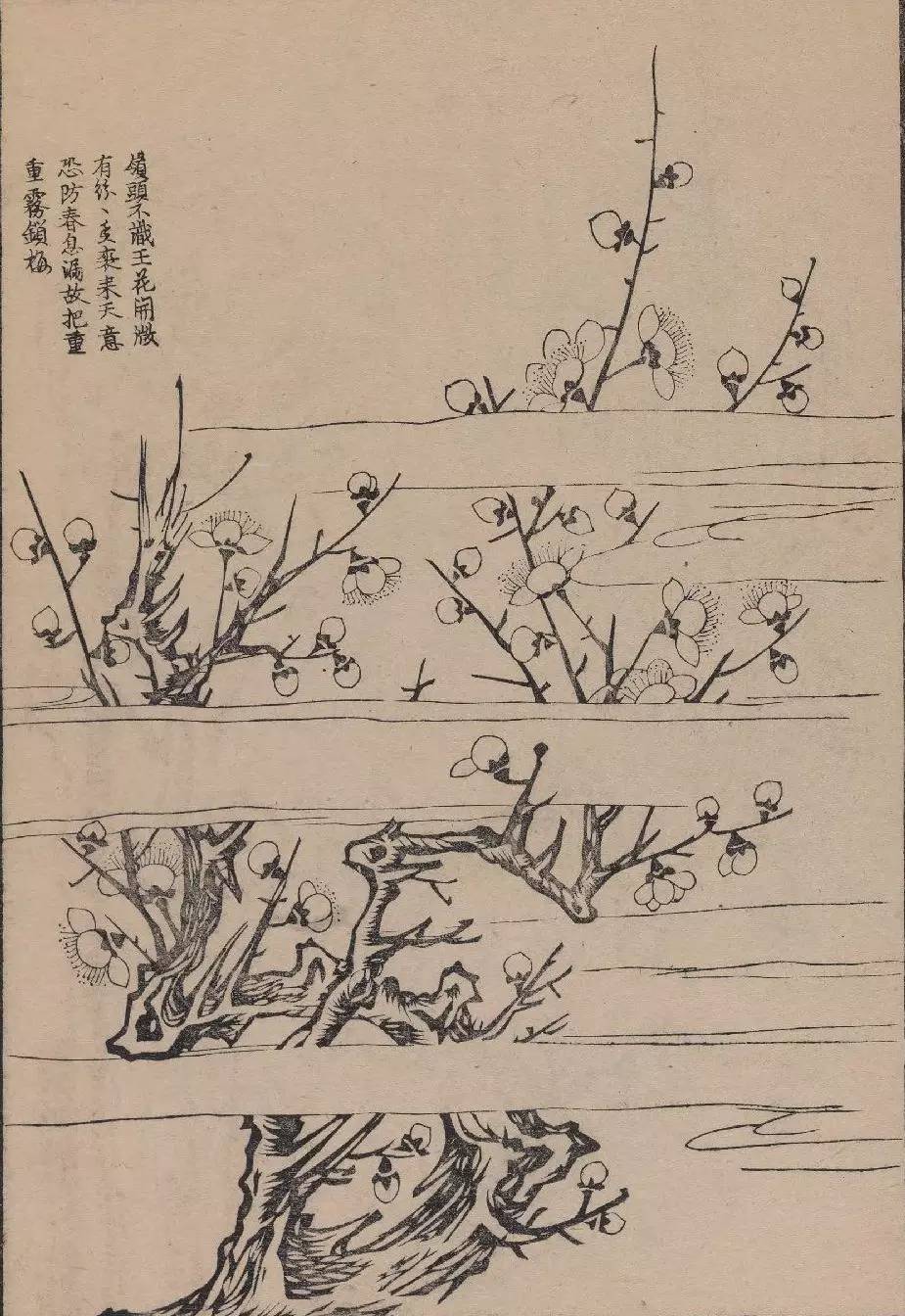 画谱精选集雅斋梅竹兰菊四谱1