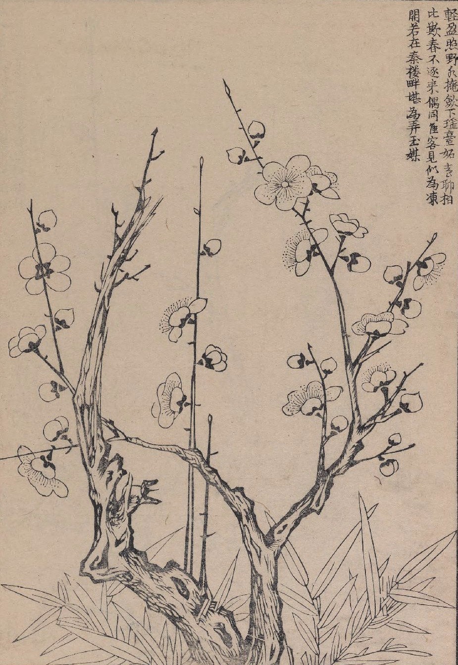 画谱精选集雅斋梅竹兰菊四谱1