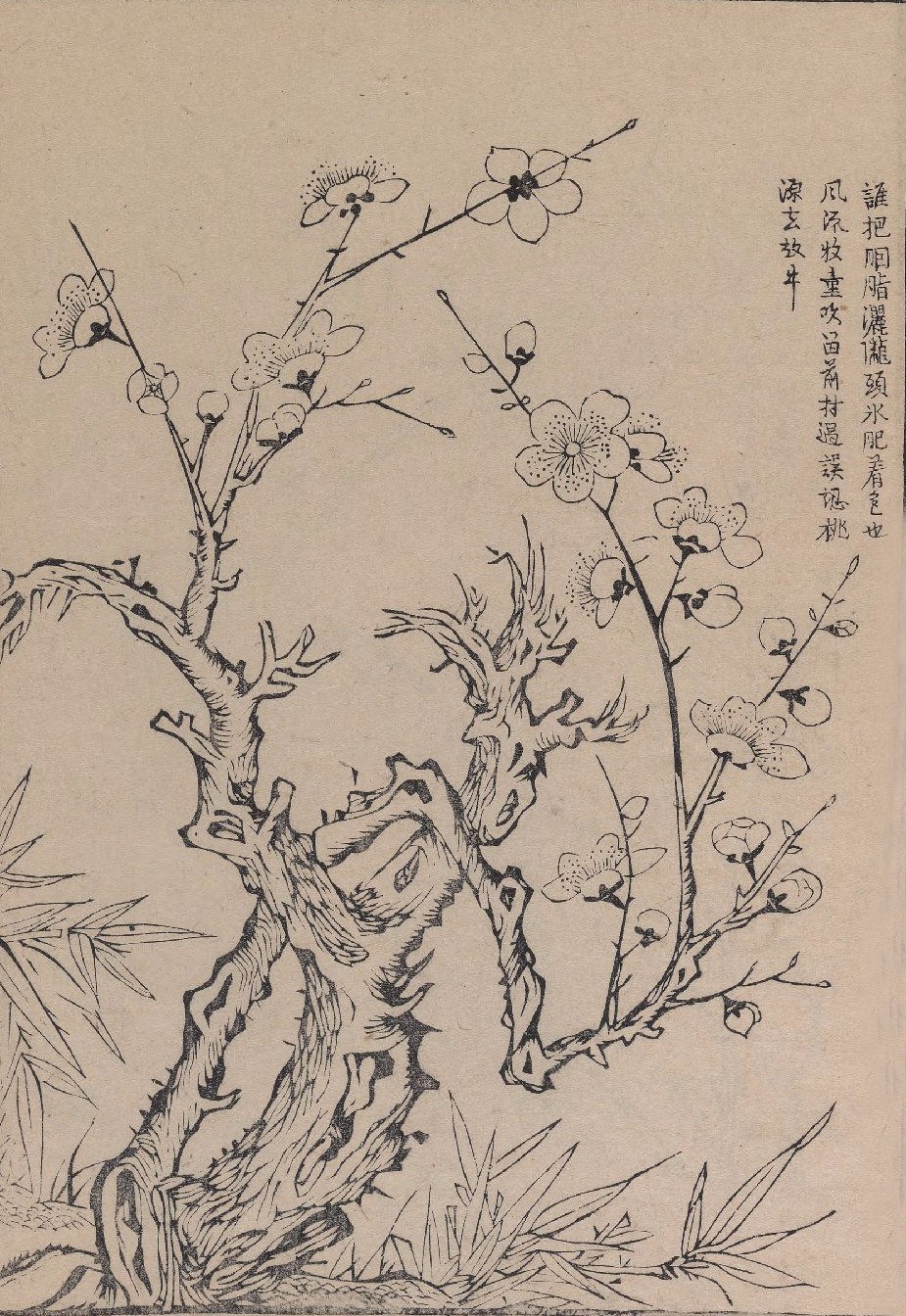 画谱精选集雅斋梅竹兰菊四谱1