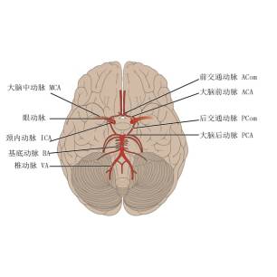 收藏