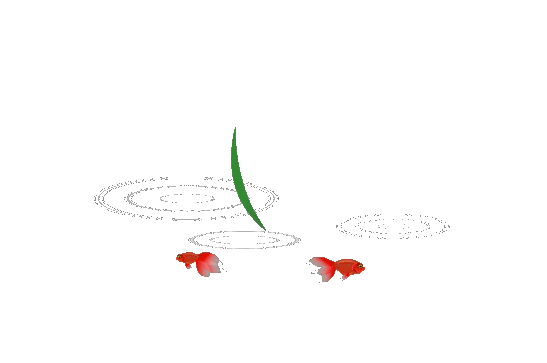 透明gif动画鱼类素材