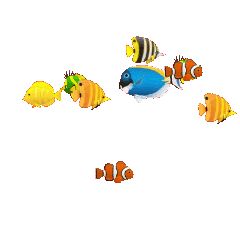 透明gif动画鱼类素材