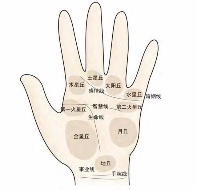 推开阴阳论八卦,分出人间贵与贫;双手过膝君子相,手不过腰主孤贫;手掌