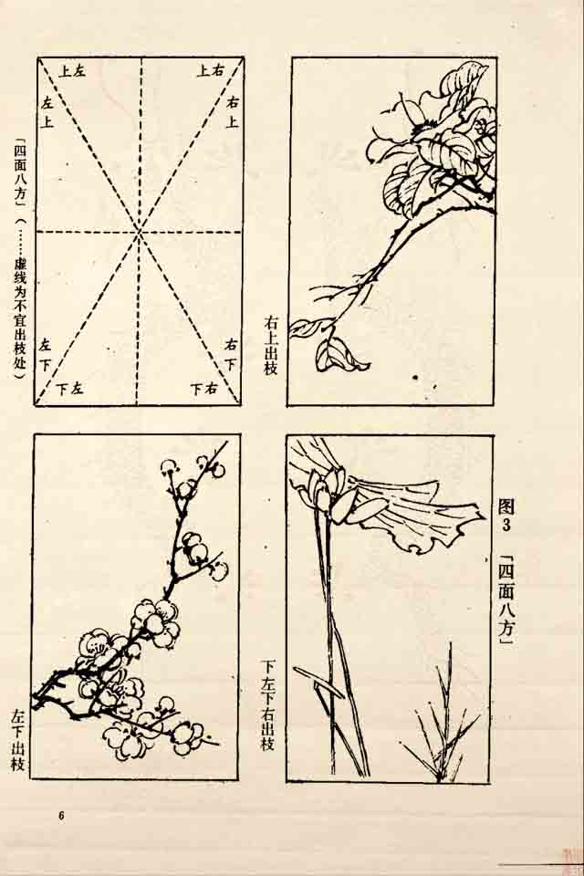 花鸟的简笔画步骤图解图片