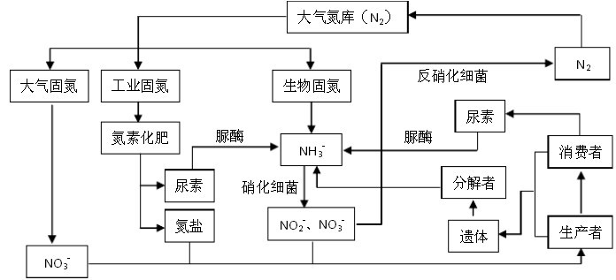 高中生物知識結構圖表上