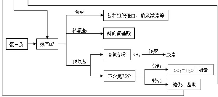 高中生物知識結構圖表上