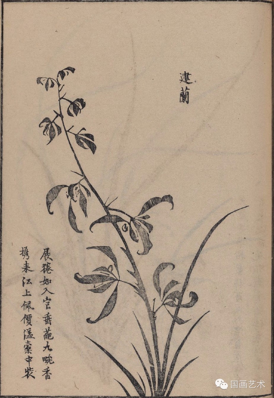 画谱精选集雅斋梅竹兰菊四谱3