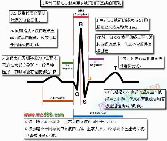 正常心电图波形特点和正常值图