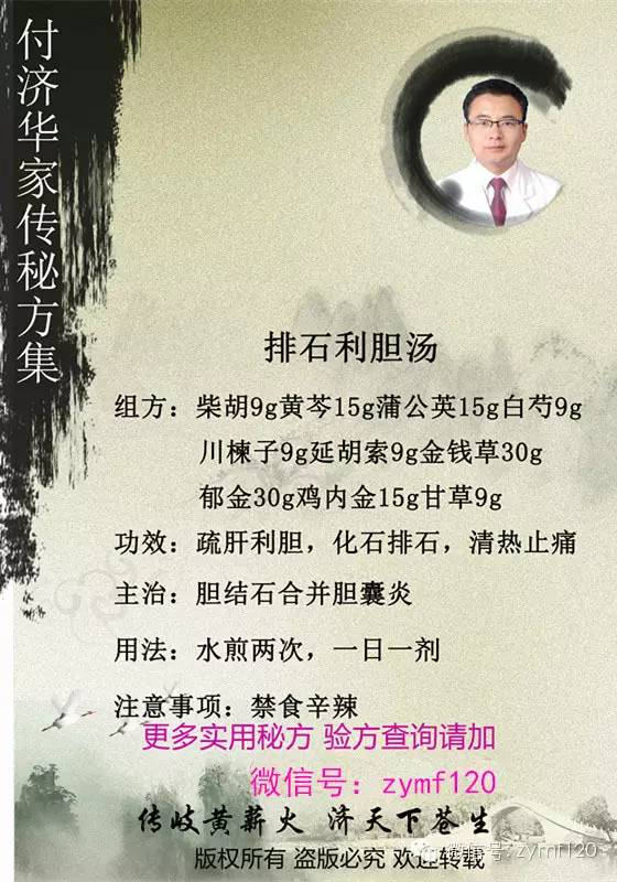 付济华家传秘方集----排石利胆汤