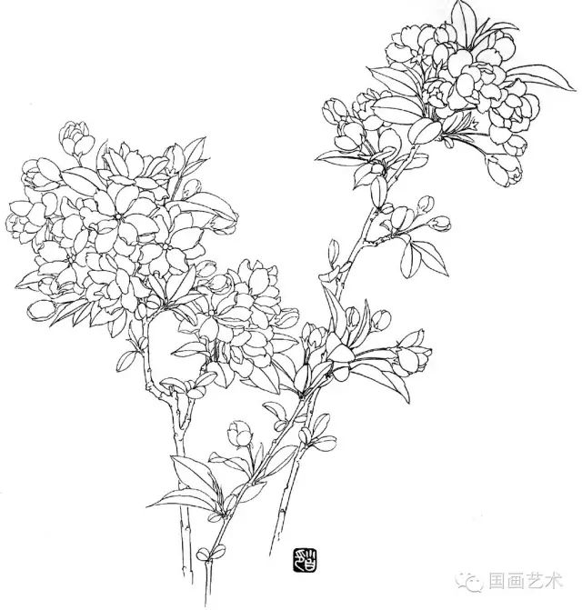 贴梗海棠紫藤美人蕉仙人掌大丽菊八仙花昙花紫薇木槿荷花芙蓉菊花山茶