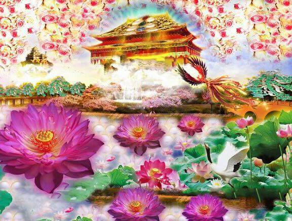 3d之眼亲临极乐世界太庄严了见者增福