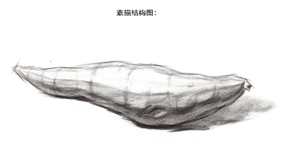 在进行刻画的时候可以按照圆柱体的体积去理解,下面是红薯的基本素描