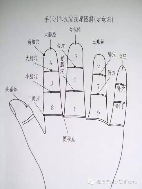 机理:1,按摩点4,9,2,的顶端叫十宣穴:位置在十个手指头尖中心,在指甲