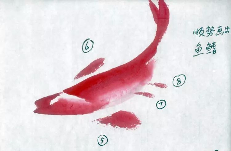【国画教程】鱼的各种画法