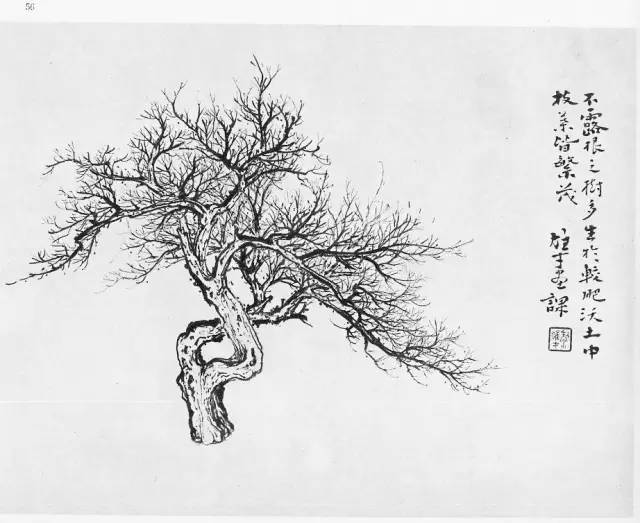 大师画树实在是高