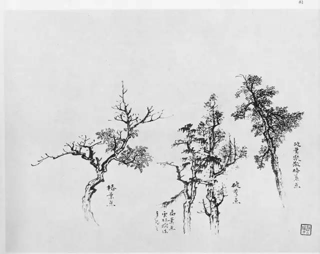 大师画树实在是高