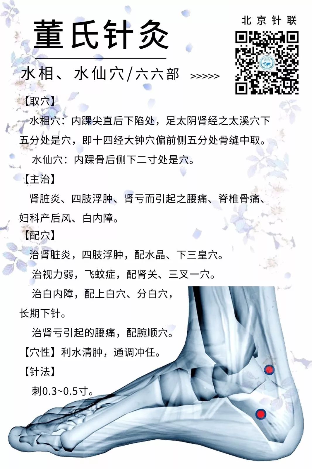 水相,水仙:肾属水,故能调肾 | 董氏针灸 穴位解读 - 好网角收藏夹