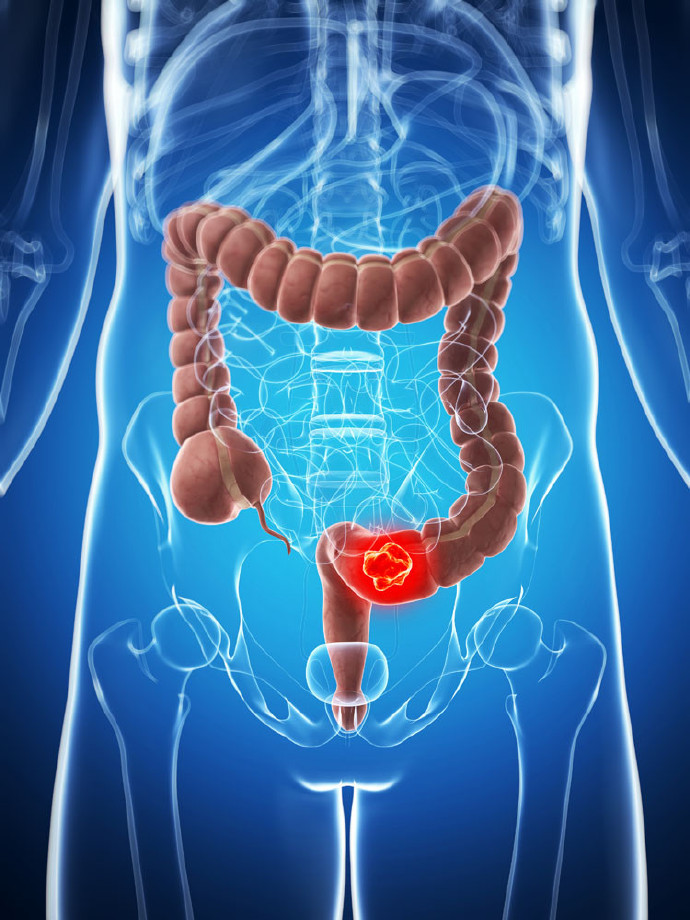 人体内脏结构超清晰剖视图