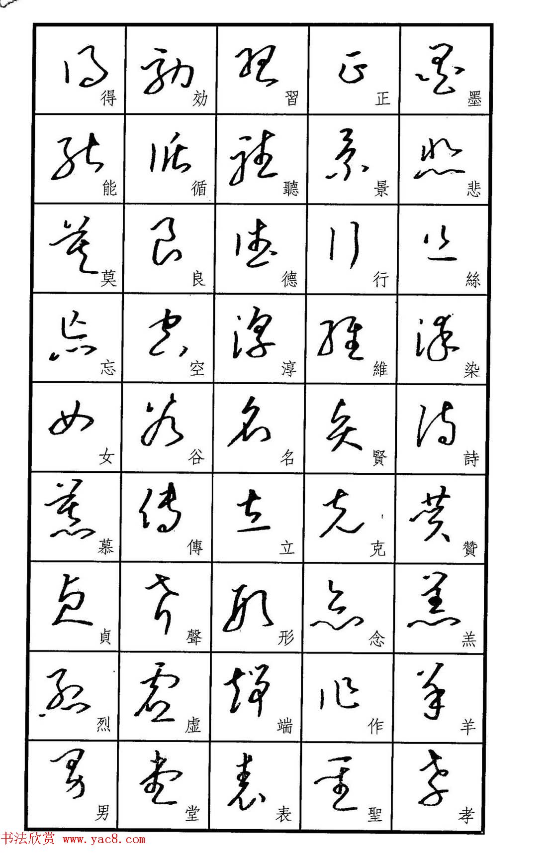 梧桐钢笔书帖标准草书范字