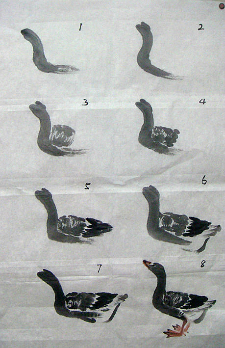 19 					      	 							  被转藏 : 1转藏到我的文章库大雁又称野鹅