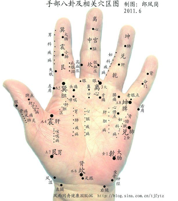 手掌部八卦方位说明:1,无论左右手均以大拇指一侧的方向为左,为东,以