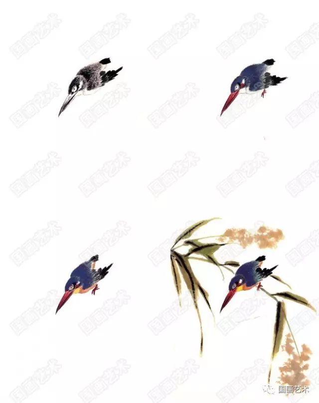 图文教程中国画入门之写意花鸟