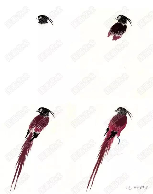 图文教程中国画入门之写意花鸟