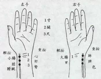 即大,小,滑,涩,浮,沉,迟,数,紧,急,缓,弦,长,弱,细,虚,实,代,短等包括