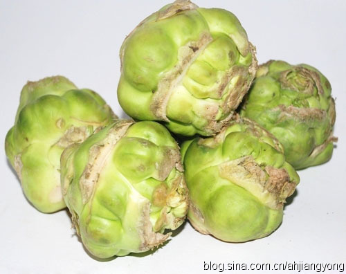 榨菜是芥菜中的一类,一般都是指叶用芥菜一类,如九头芥,雪里蕻,猪血芥