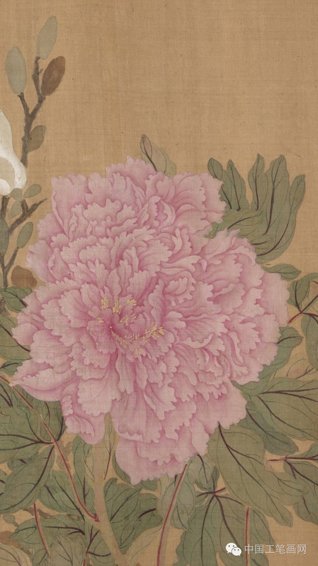清恽寿平没骨画精品百花图卷高清欣赏