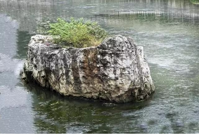 水口間有大石座立於水中或水邊稱為禽星,又名落河火星,最為貴秀.