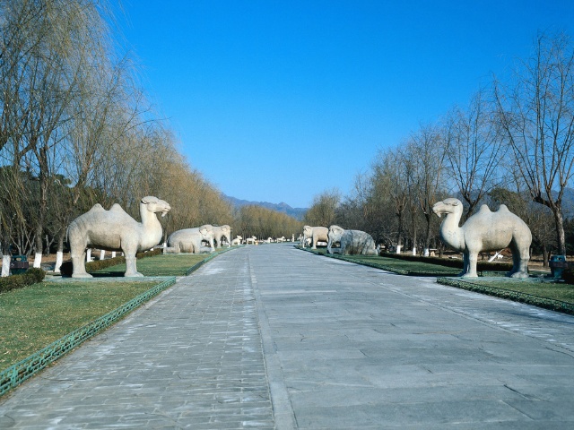 明裕陵明英宗朱祁钰明茂陵明宪宗朱见深明康陵明武宗朱厚照明康陵明武